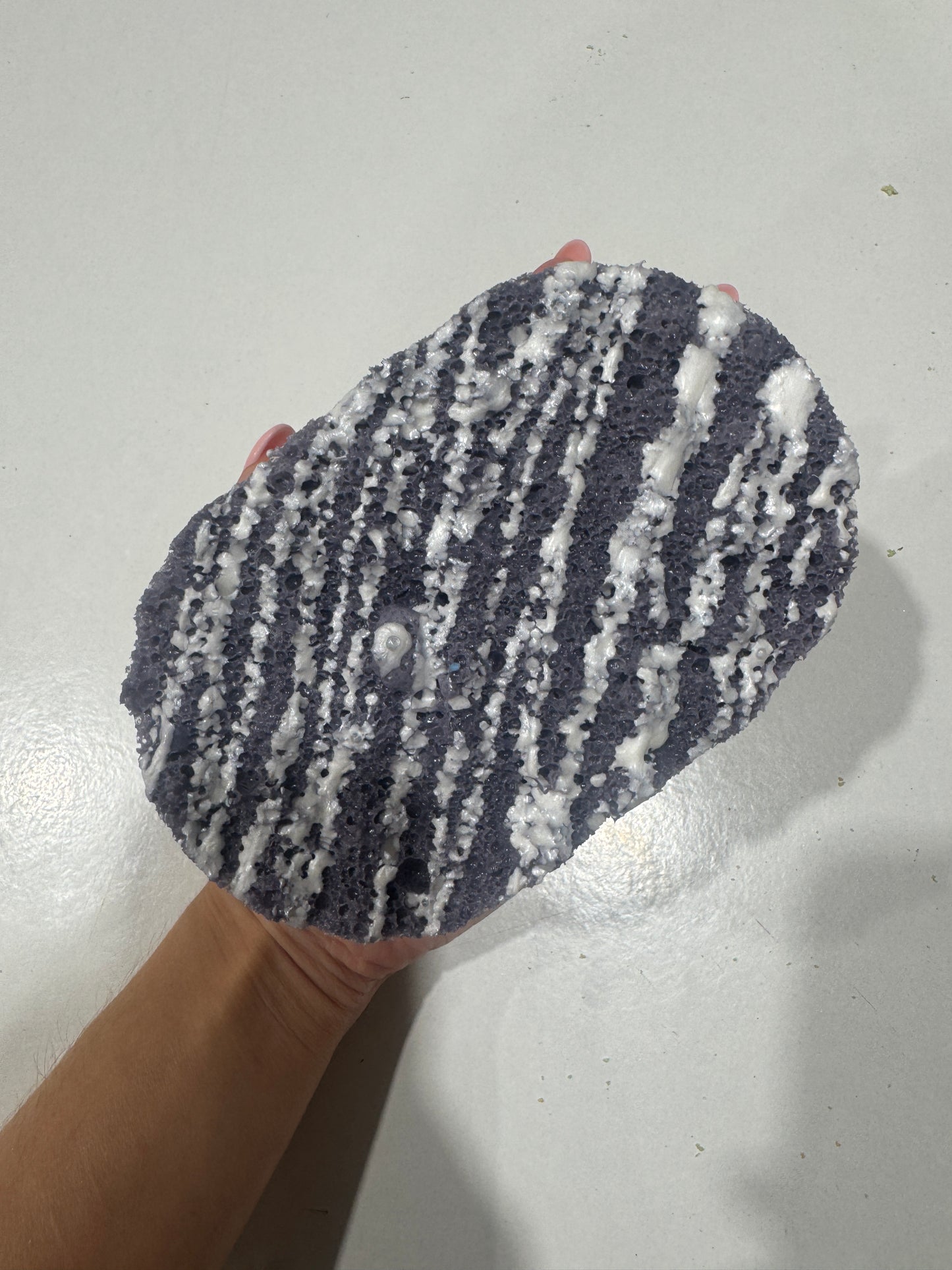 Halloween Sponges